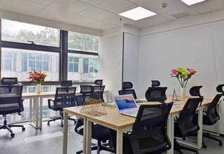 福州视觉系统柔性供料站推荐厂家