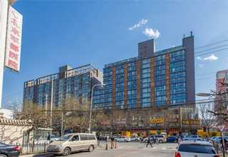 崇明区一站式绿植租赁诚信推荐